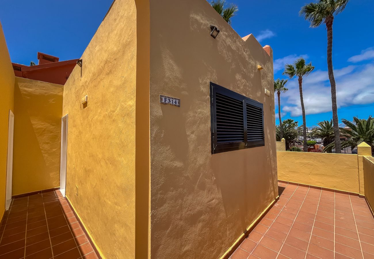 Apartamento en Corralejo - Apartamentos Oasis Royal Corralejo F314