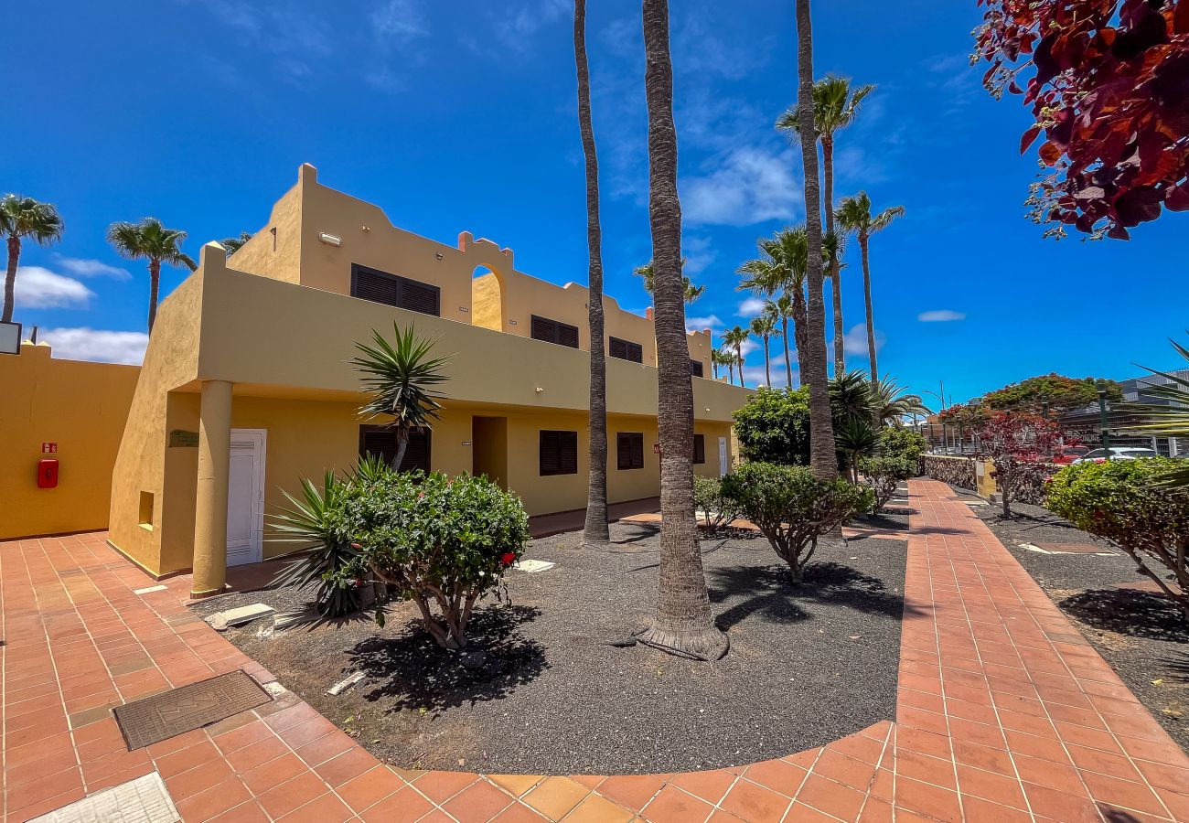 Apartamento en Corralejo - Apartamentos Oasis Royal Corralejo F314