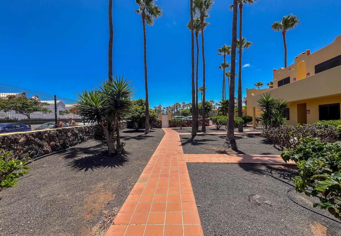 Apartamento en Corralejo - Apartamentos Oasis Royal Corralejo F314