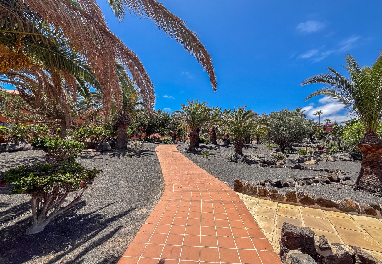 Apartamento en Corralejo - Apartamentos Oasis Royal Corralejo F314