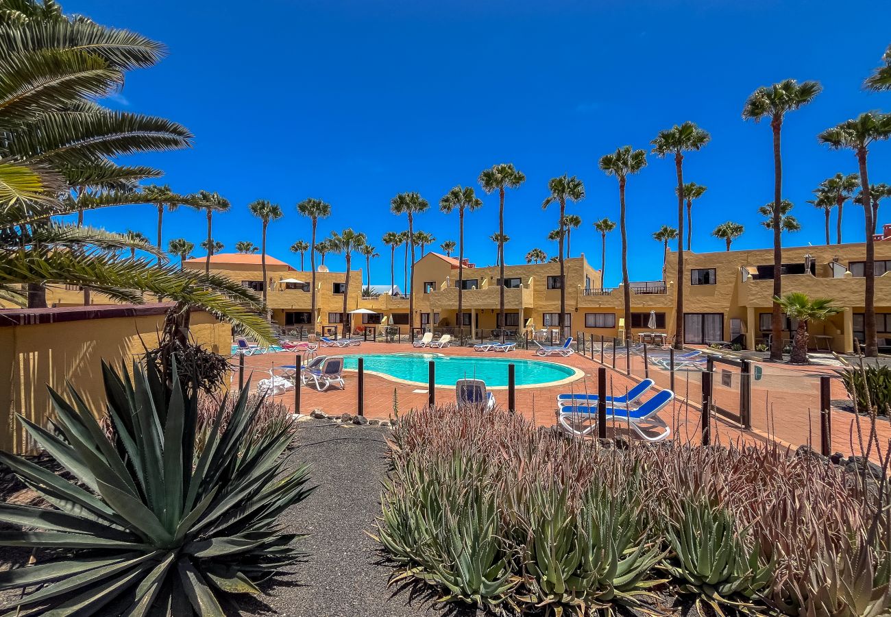 Apartamento en Corralejo - Apartamentos Oasis Royal Corralejo F314