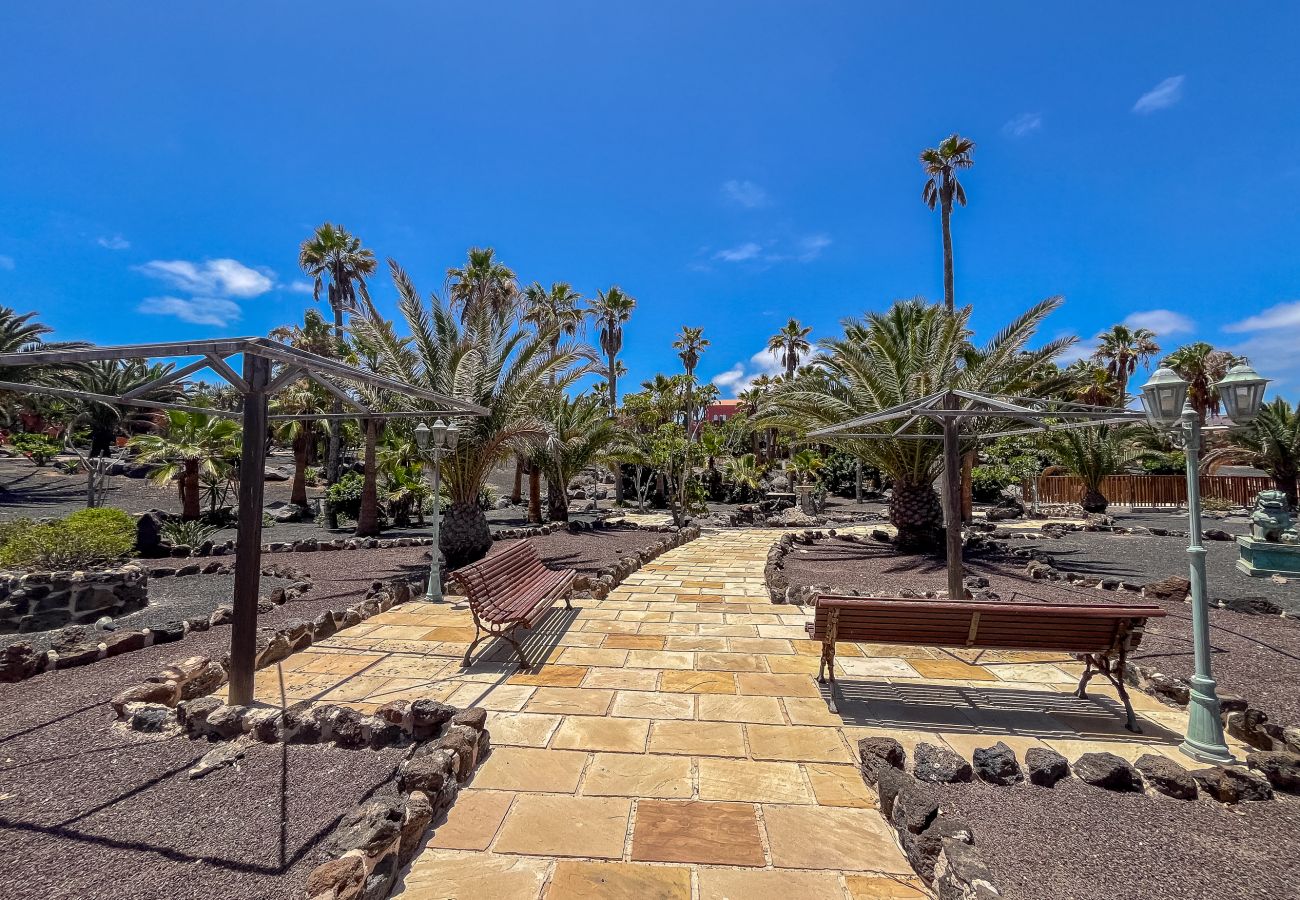 Apartamento en Corralejo - Apartamentos Oasis Royal Corralejo F314