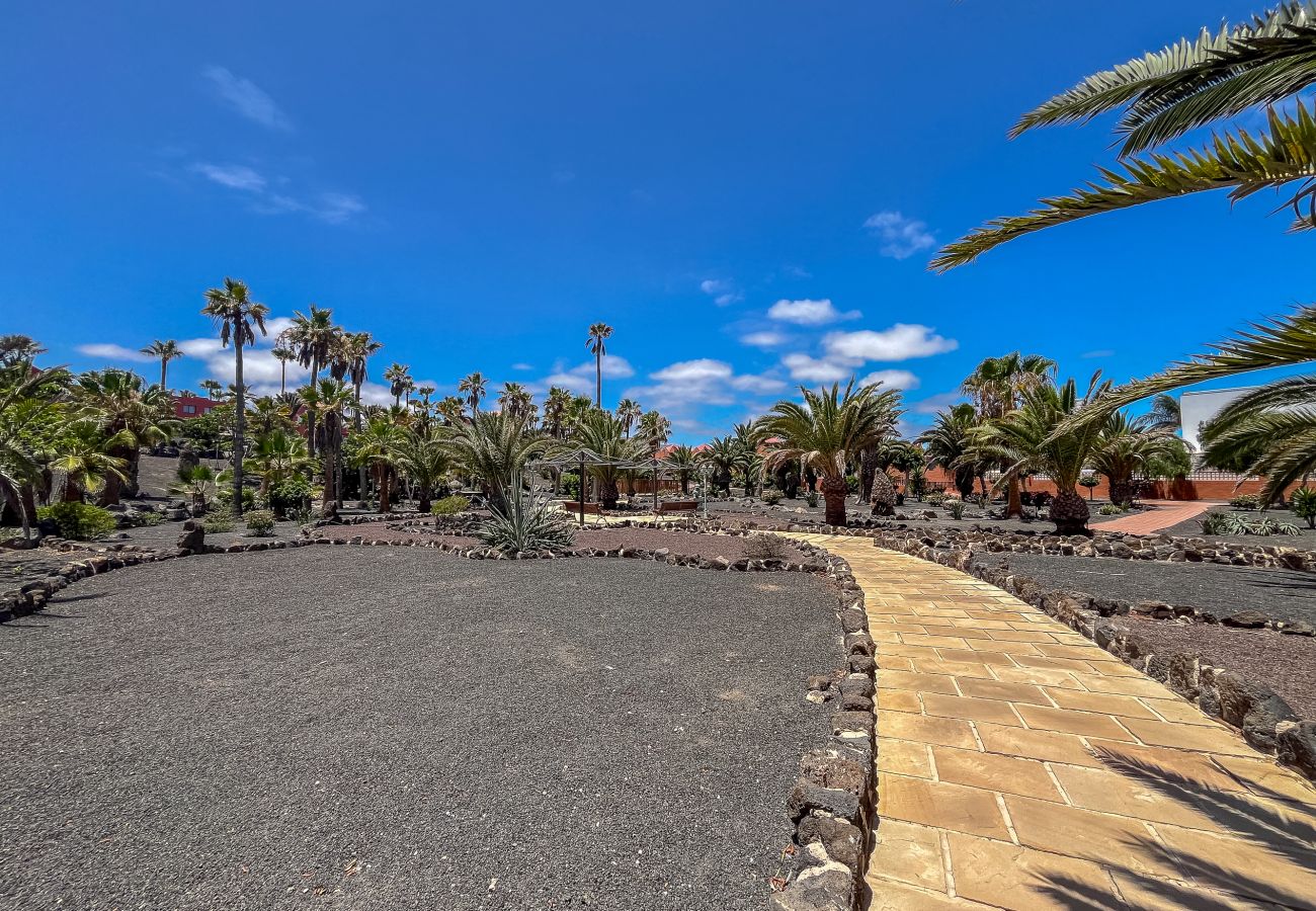 Apartamento en Corralejo - Apartamentos Oasis Royal Corralejo F314