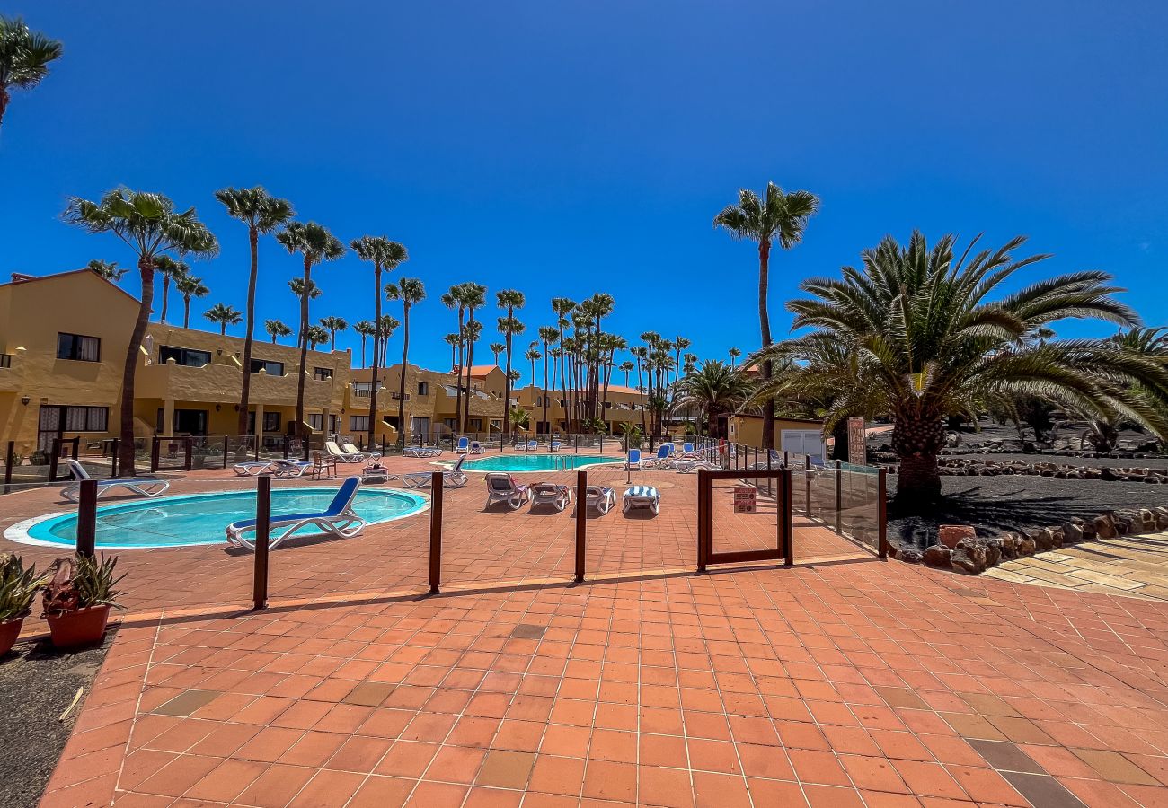 Apartamento en Corralejo - Apartamentos Oasis Royal Corralejo F314