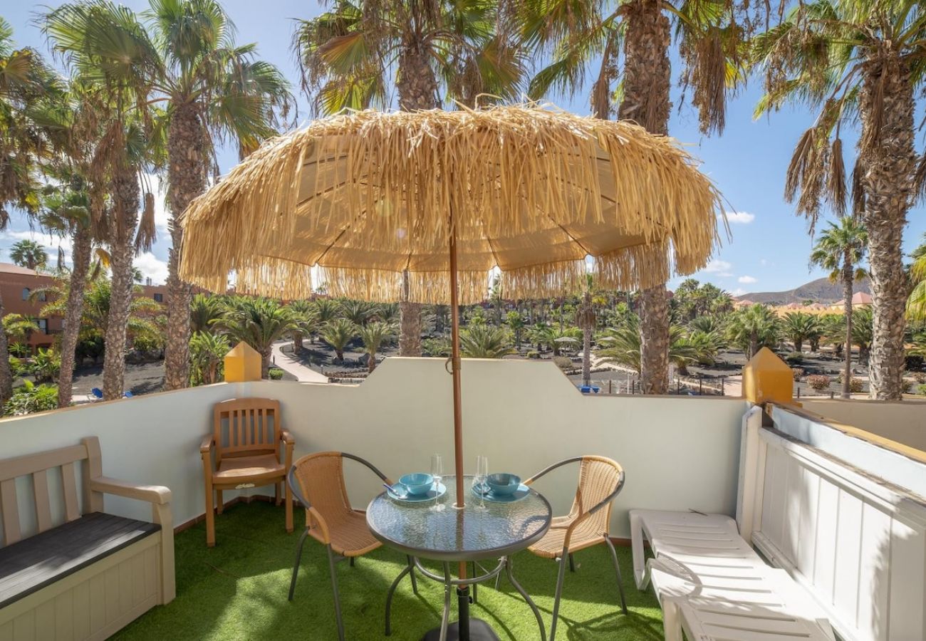 Apartamento en Corralejo - Apartamentos Oasis Royal Corralejo F312