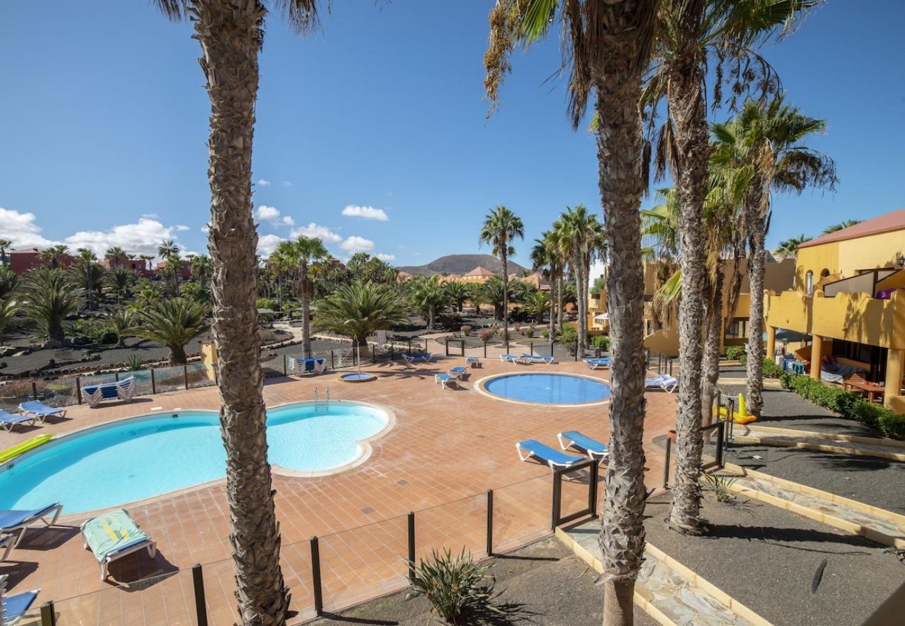 Apartamento en Corralejo - Apartamentos Oasis Royal Corralejo F312