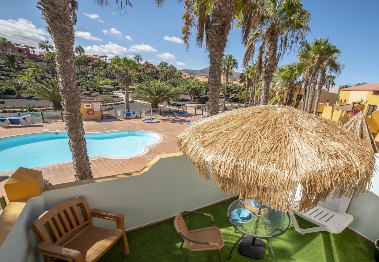 Apartamento en Corralejo - Apartamentos Oasis Royal Corralejo F313