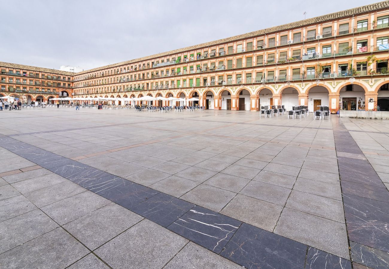 Apartamento en Córdoba - Lightbooking Plaza la Corredera Córdoba 