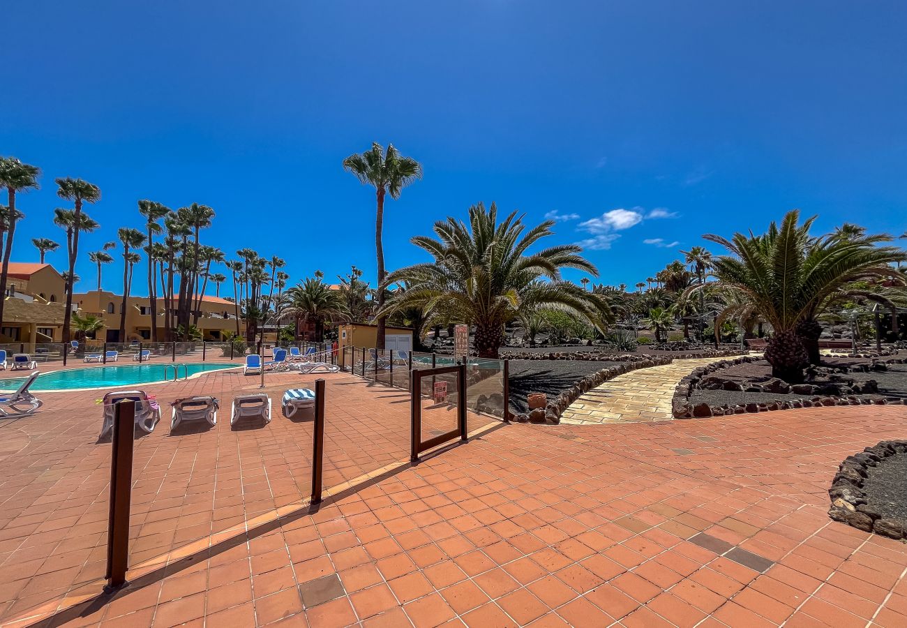 Apartamento en Corralejo - Lightbooking 11 Oasis Royal Corralejo 