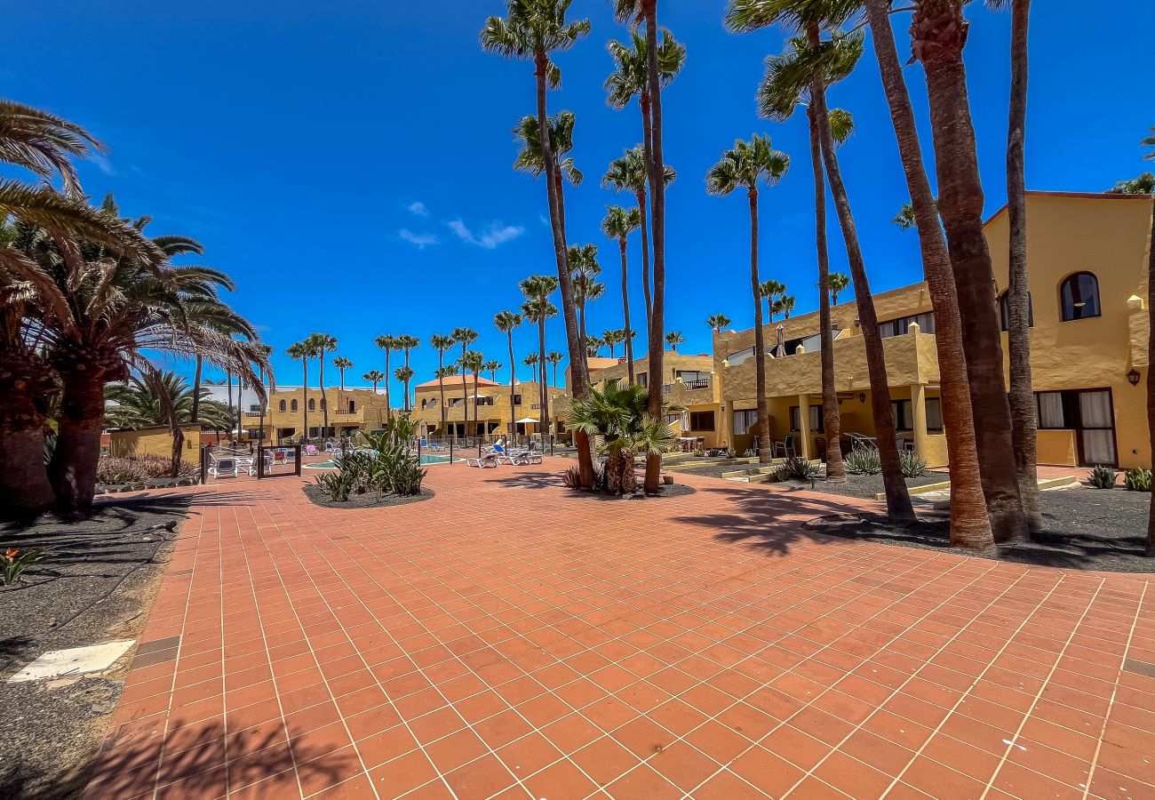 Apartamento en Corralejo - Lightbooking 11 Oasis Royal Corralejo 