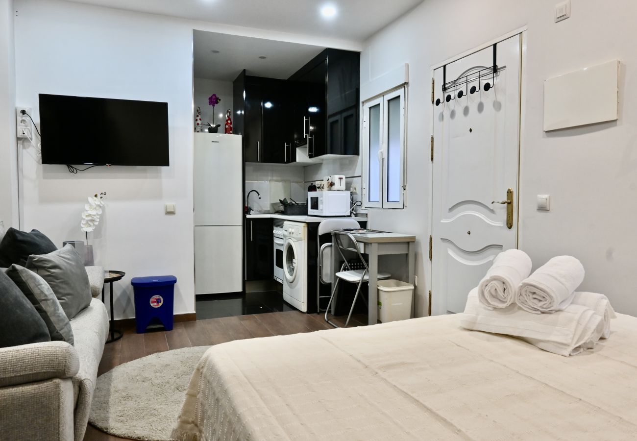 Estudio en Madrid - HERMOSO APARTAMENTO TIPO ESTUDIO EN MADRID SFL5