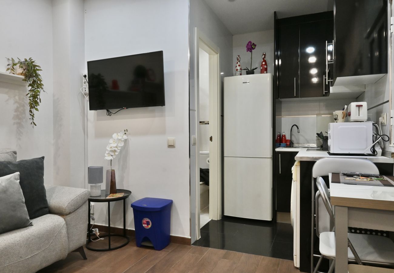 Estudio en Madrid - HERMOSO APARTAMENTO TIPO ESTUDIO EN MADRID SFL5