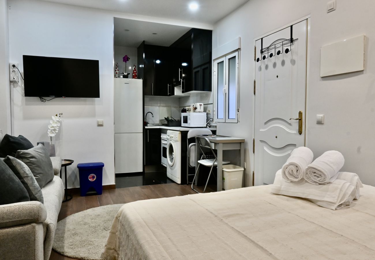 Estudio en Madrid - HERMOSO APARTAMENTO TIPO ESTUDIO EN MADRID SFL5