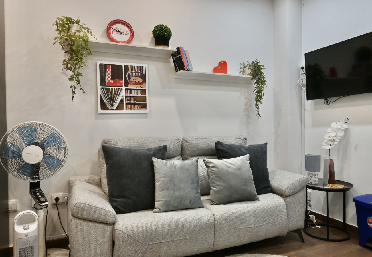 Estudio en Madrid - HERMOSO APARTAMENTO TIPO ESTUDIO EN MADRID SFL5