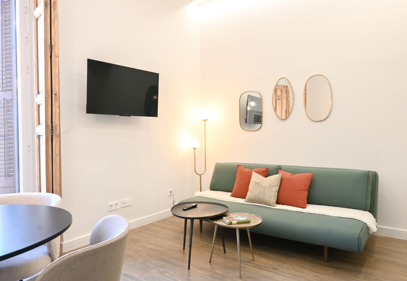 Estudio en Madrid - Céntrico y Luminoso Apartamento en Madrid ETD1