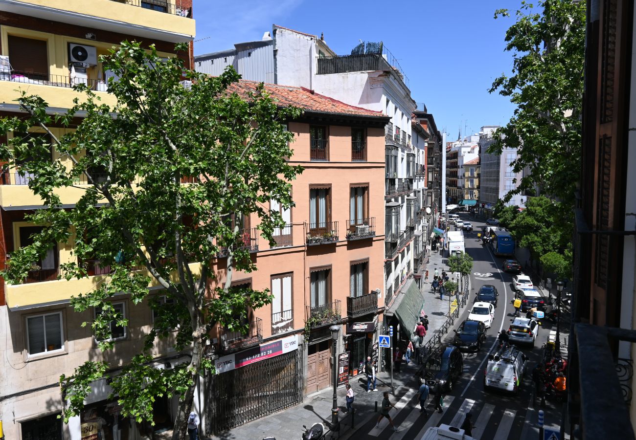 Estudio en Madrid - Céntrico y Luminoso Apartamento en Madrid ETD1