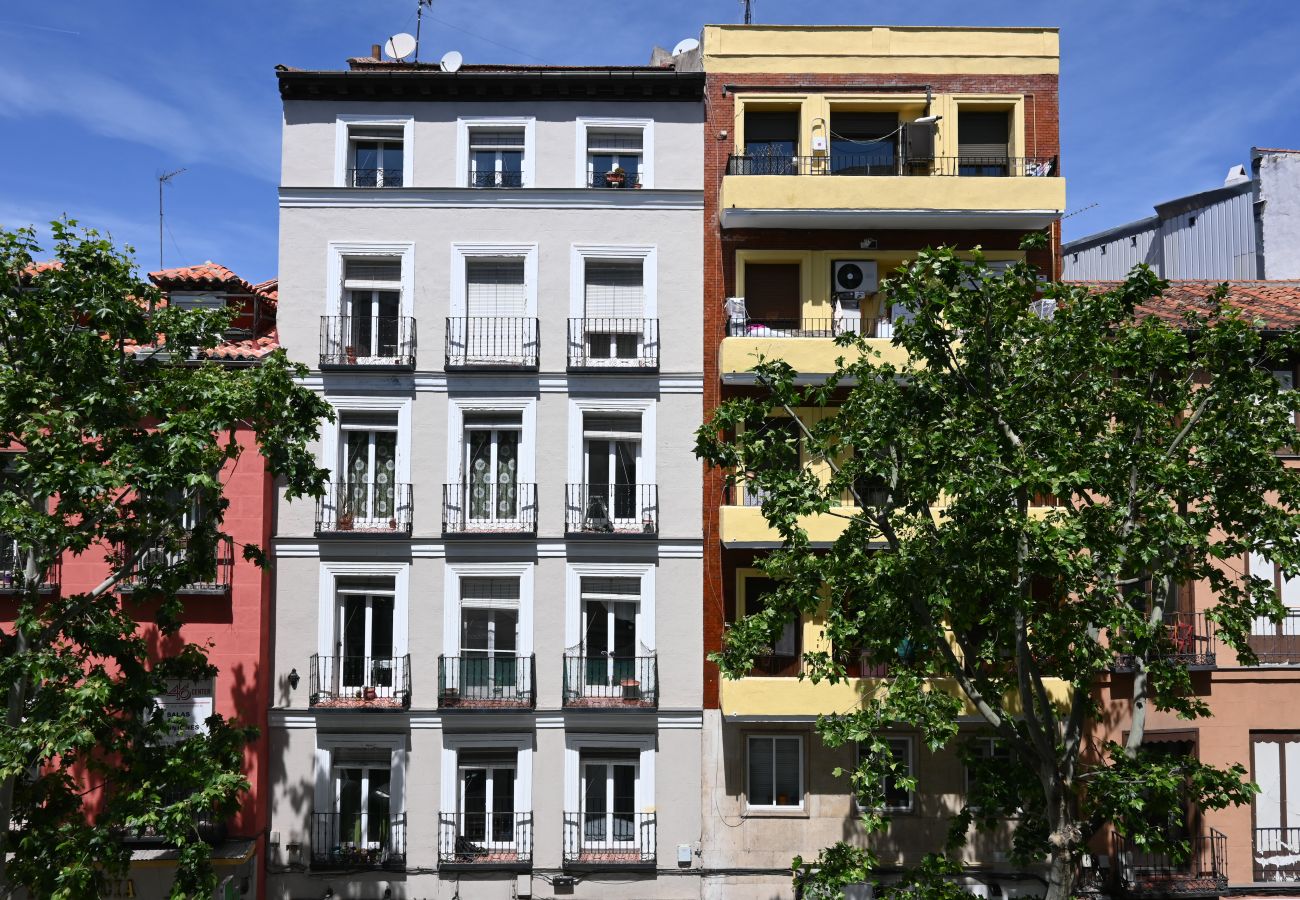 Estudio en Madrid - Céntrico y Luminoso Apartamento en Madrid ETD2