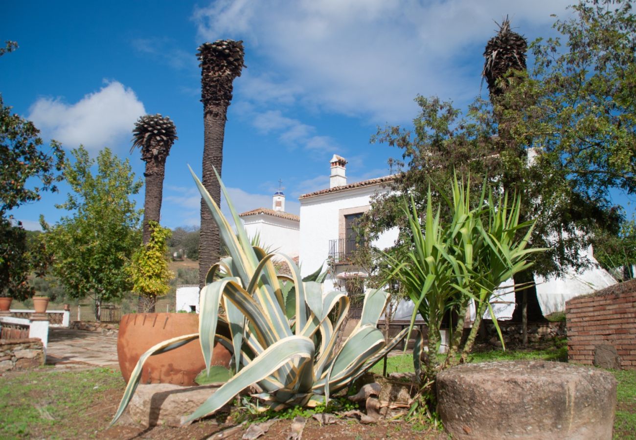 Casa rural en Constantina - Cortijo San Rafael Constantina