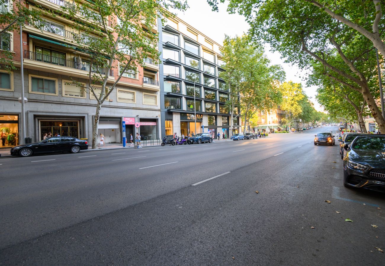 Apartamento en Madrid - Bonito apartamento de dos dormitorios en el Barrio Salamanca VEL37