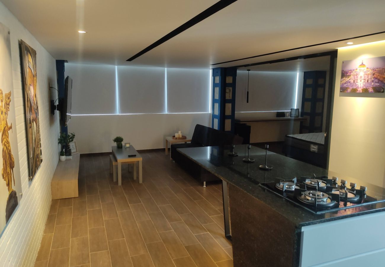 Apartamento en Ciudad de México - Loft ángel de la independencia 