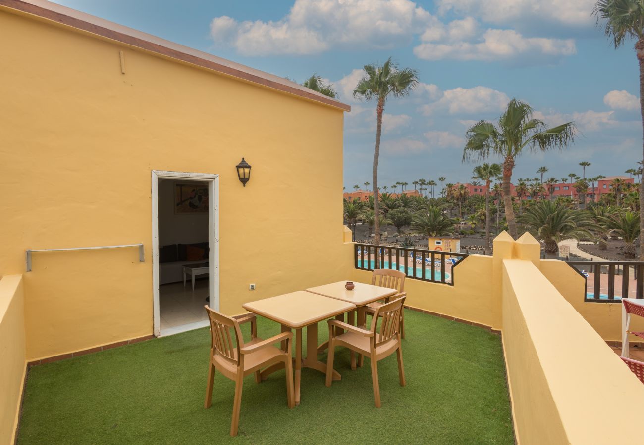 Apartment in Corralejo - Apartment Oasis Royal Corralejo F314