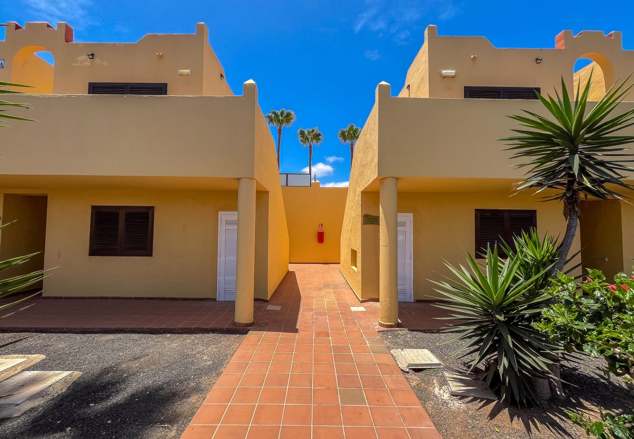 Apartment in Corralejo - Apartment Oasis Royal Corralejo F314