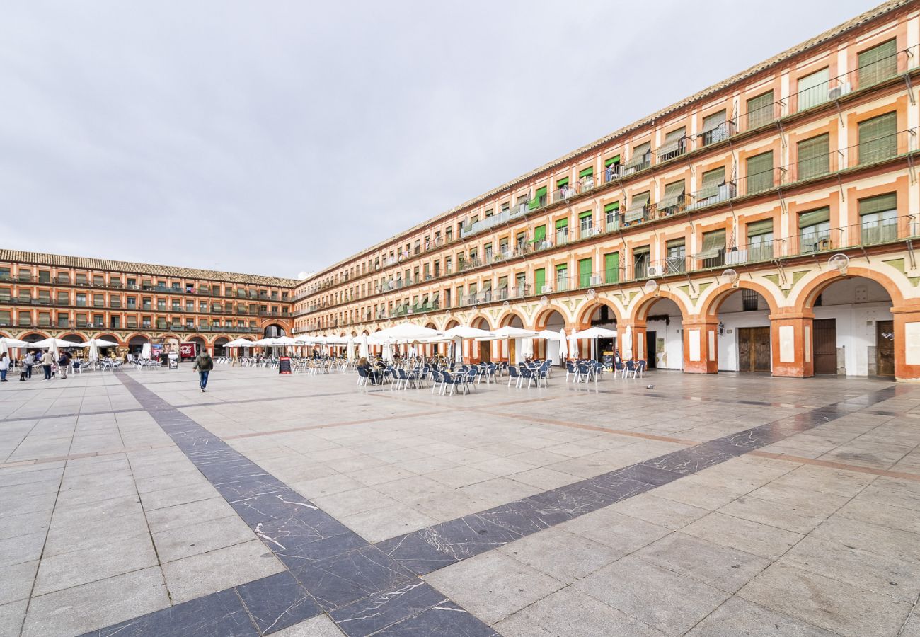 Apartment in Córdoba - Lightbooking Plaza la Corredera Córdoba 