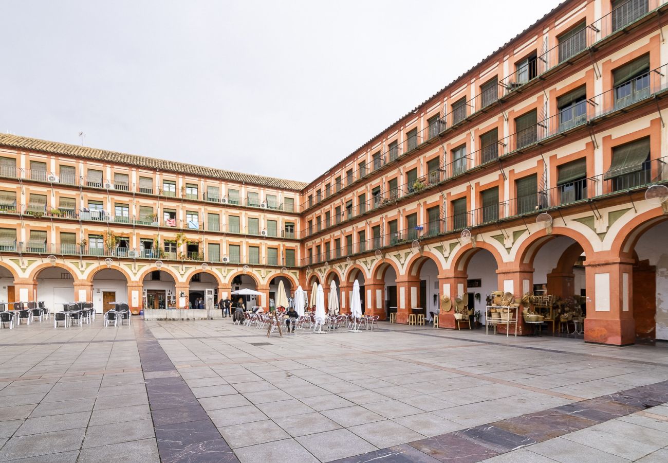 Apartment in Córdoba - Lightbooking Plaza la Corredera Córdoba 