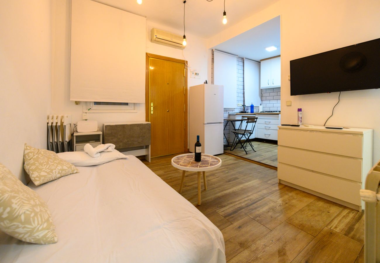 Apartment in Madrid - Ponzano23