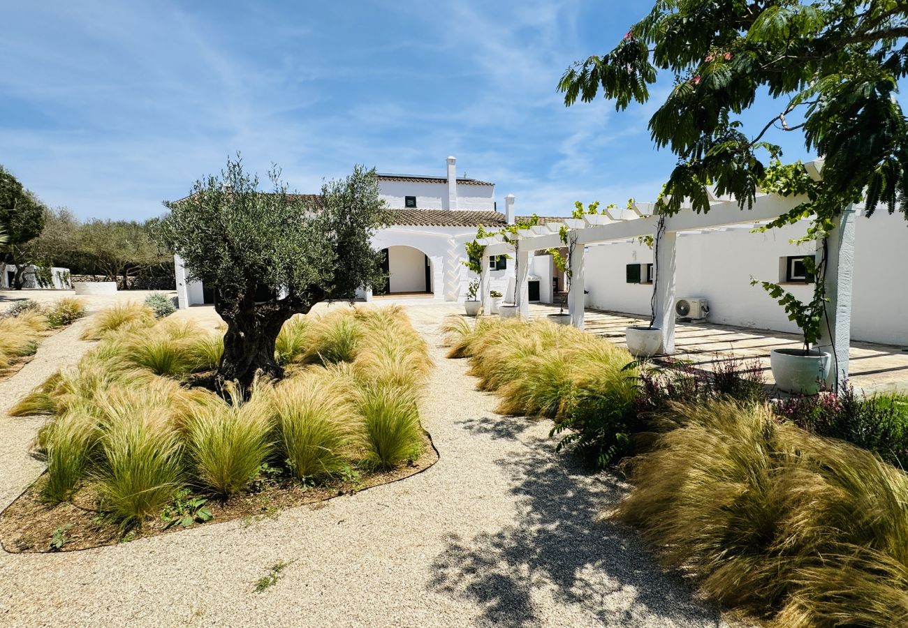 Maison à San Luis - Maison avec 5 chambres à San Luis