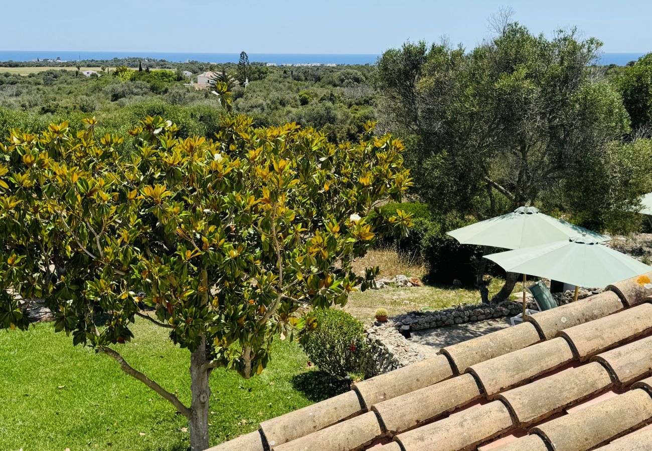 Maison à San Luis - Maison avec 5 chambres à San Luis