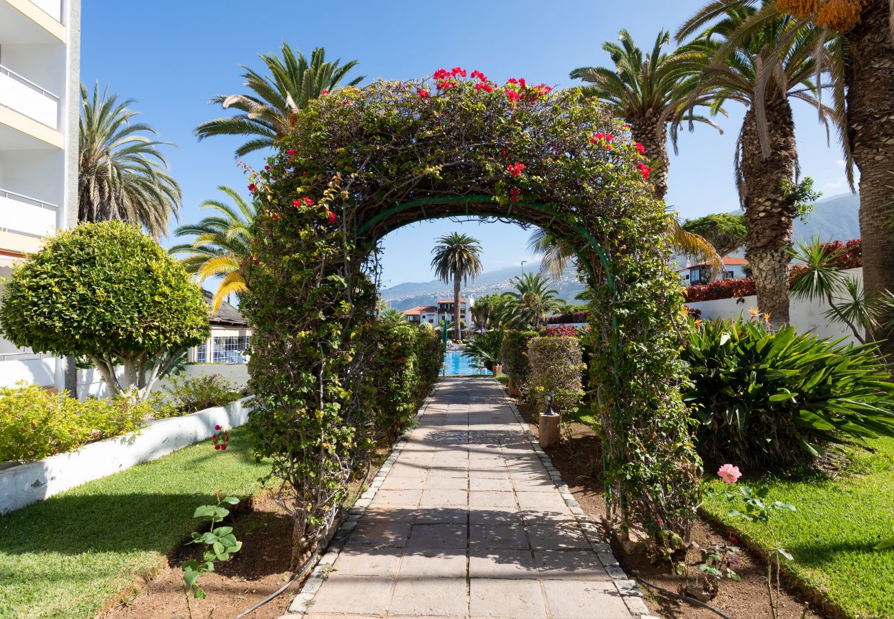 Studio à Puerto de la Cruz - Studio et terrasse de luxe avec piscine et air par Lightbooking