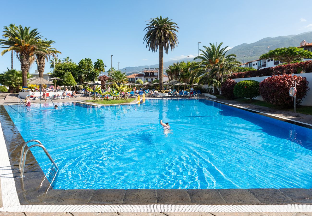 Studio à Puerto de la Cruz - Studio et terrasse de luxe avec piscine et air par Lightbooking