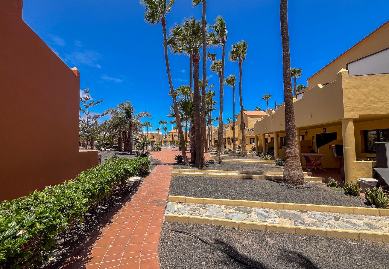 Appartement à Corralejo - Lightbooking 11 Oasis Royal Corralejo 