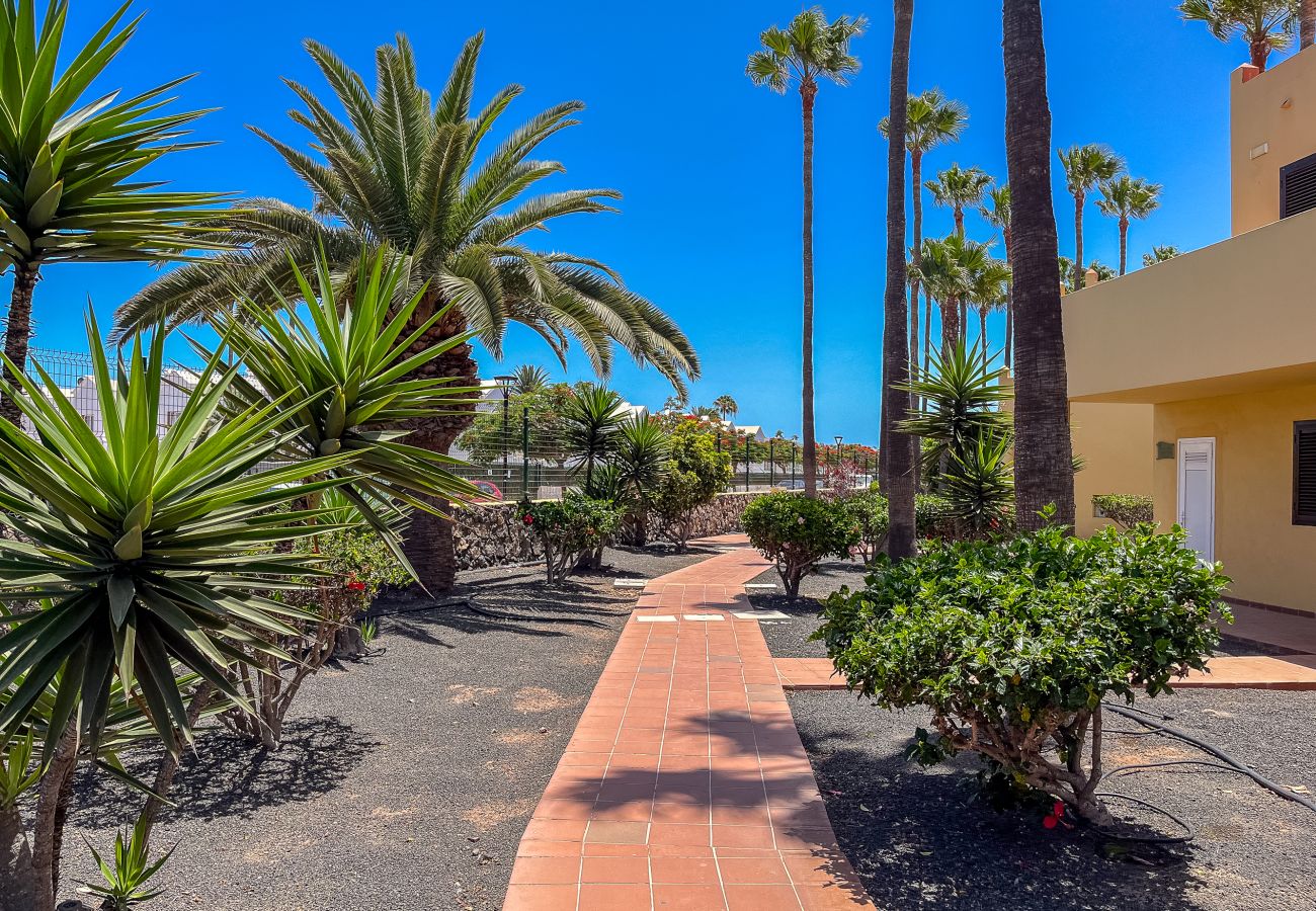 Appartement à Corralejo - Lightbooking 11 Oasis Royal Corralejo 