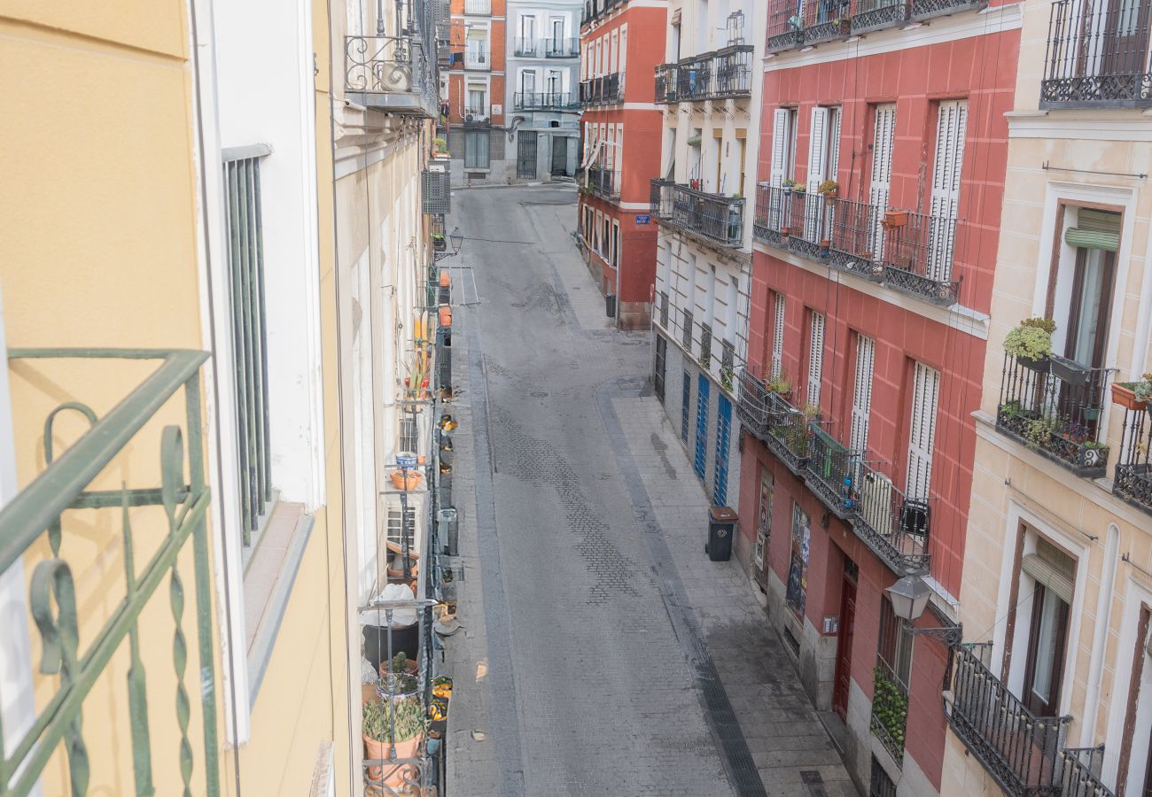 Appartement à Madrid - printemps urbain